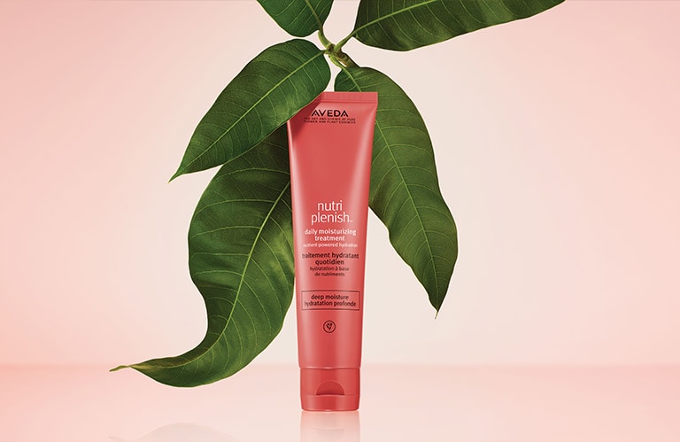 Product image of the nutriplenish daily moisturizing treatment.
