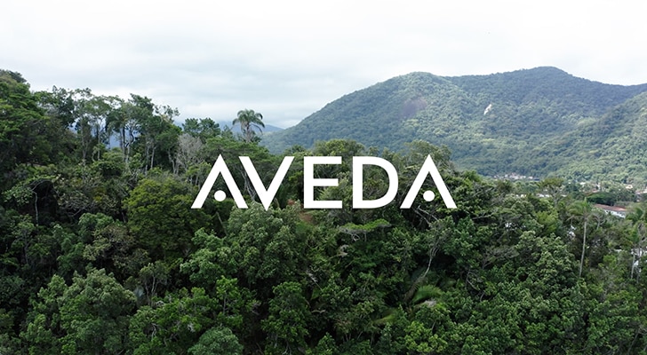 United Nations recognizes Aveda