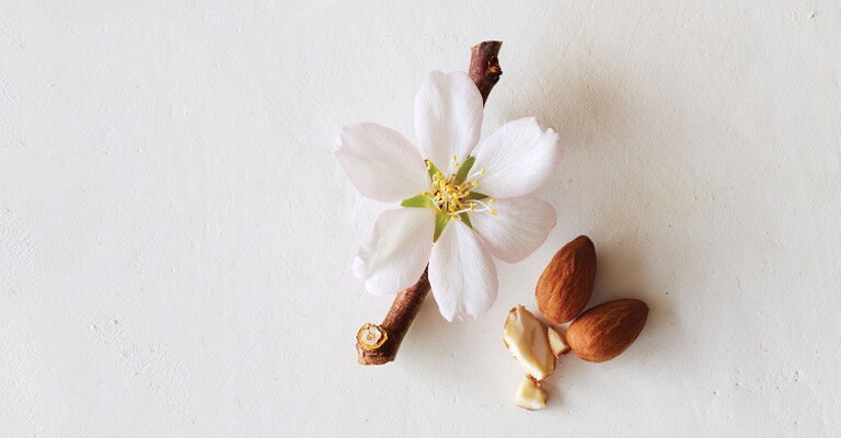 Cherry Almond Softening Shampoo Aveda