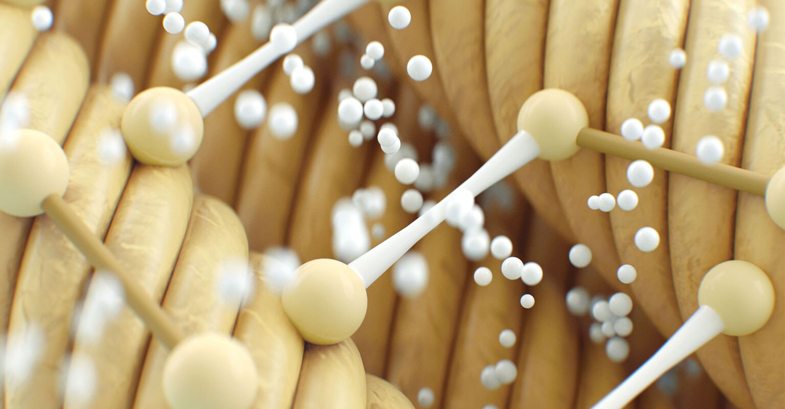 botanical repair professional treatment services