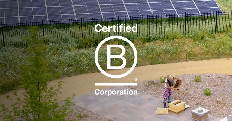 March is B Corp™ Month