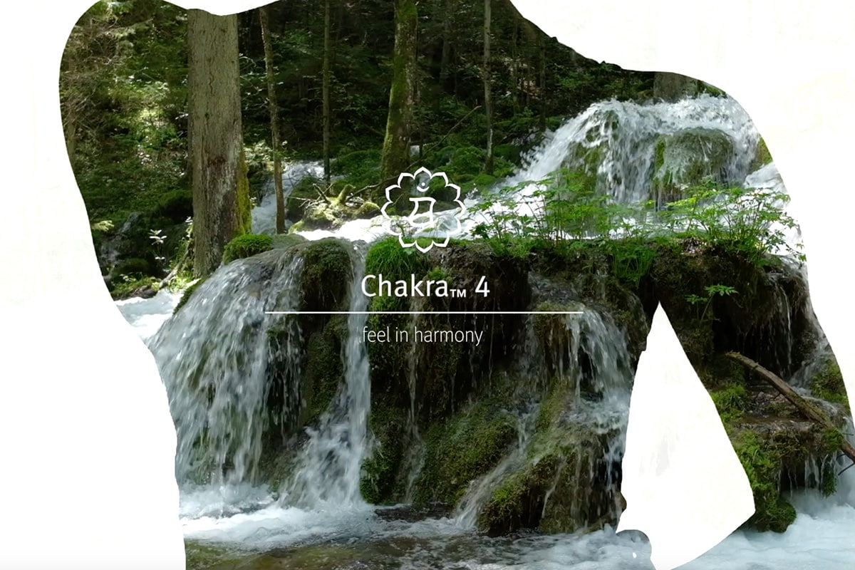 Listen to this meditation and spray the grounding blend Chakra 4 to enhance your experience