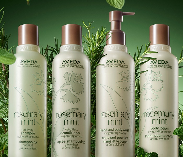 Shop rosemary mint hair & body care products featuring our best-selling invigorating aroma