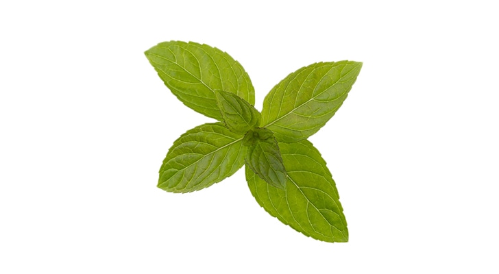 MENTHA PIPERITA (PEPPERMINT) LEAF EXTRACT