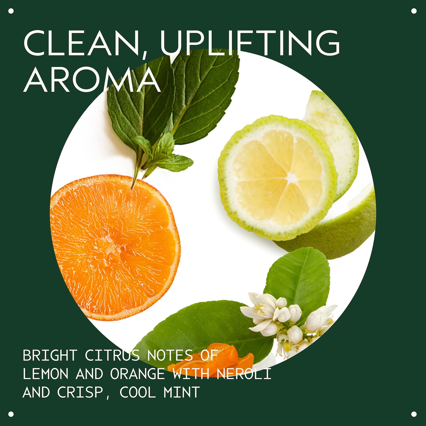 scalp solutions replenishing conditioner