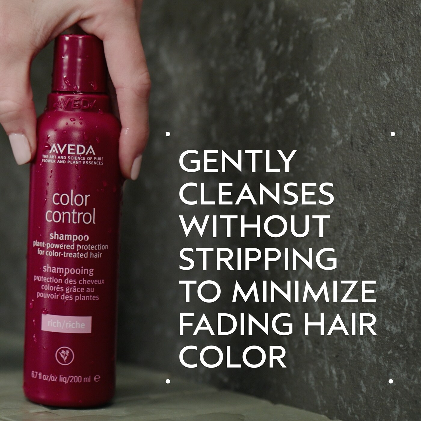 color control rich shampoo