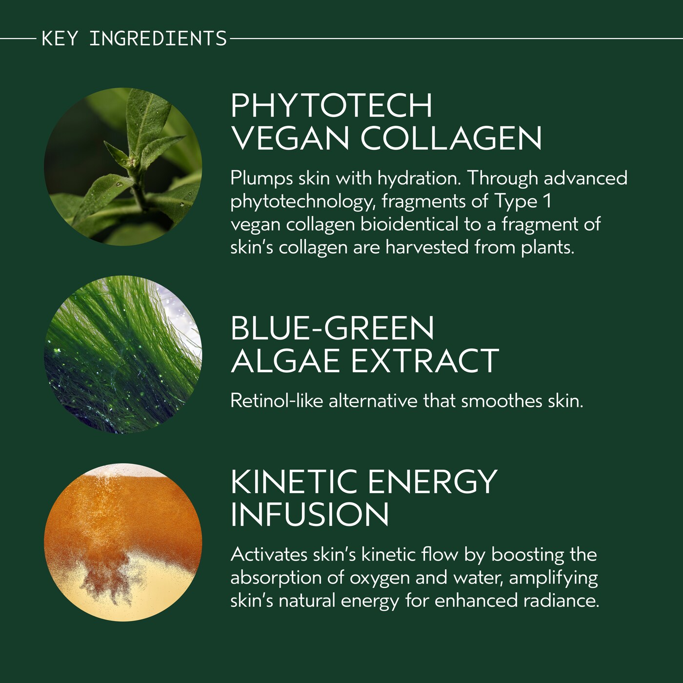 Advanced Botanical Kinetics™ Revitalizing Essence Lotion