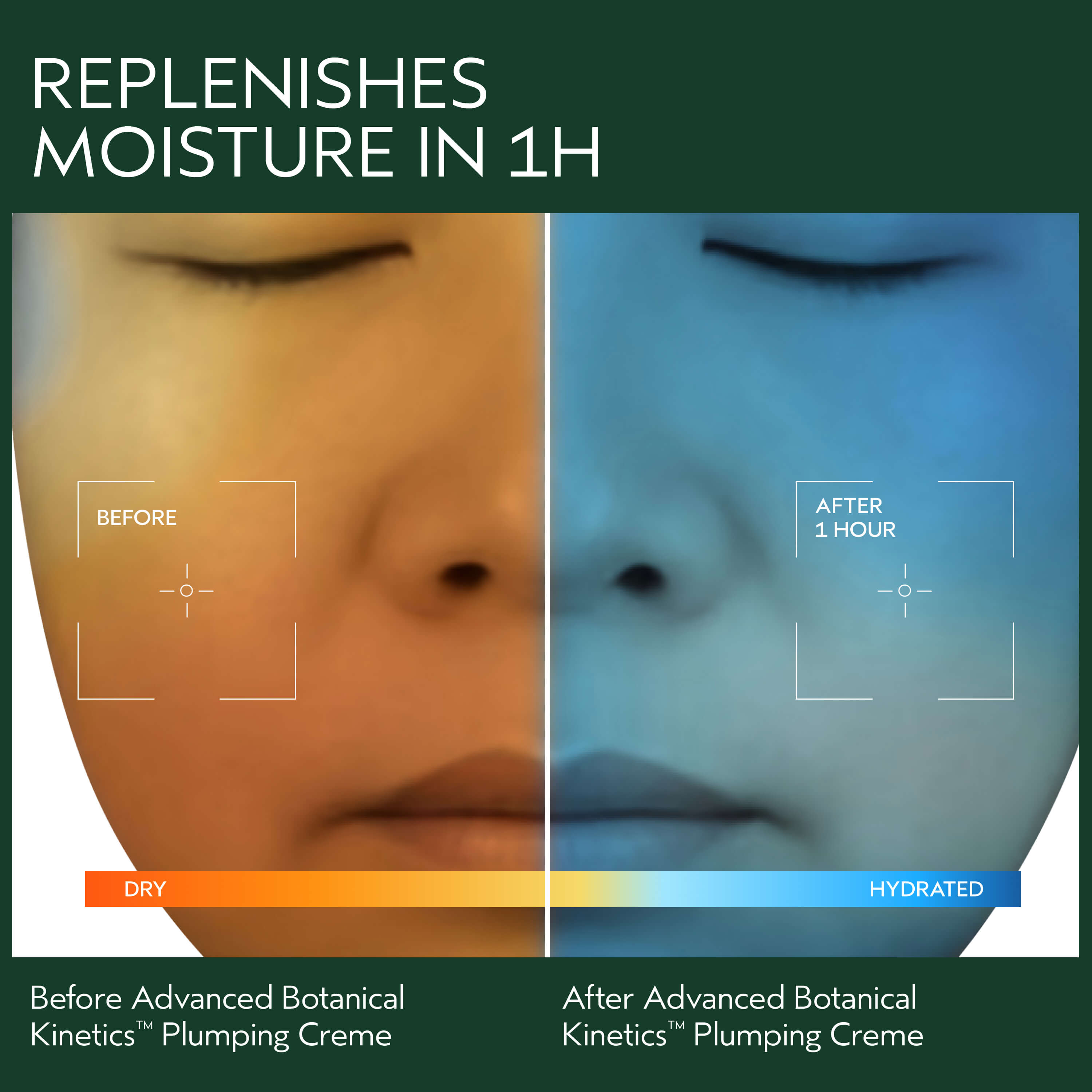 Advanced Botanical Kinetics™ Plumping Creme | Aveda