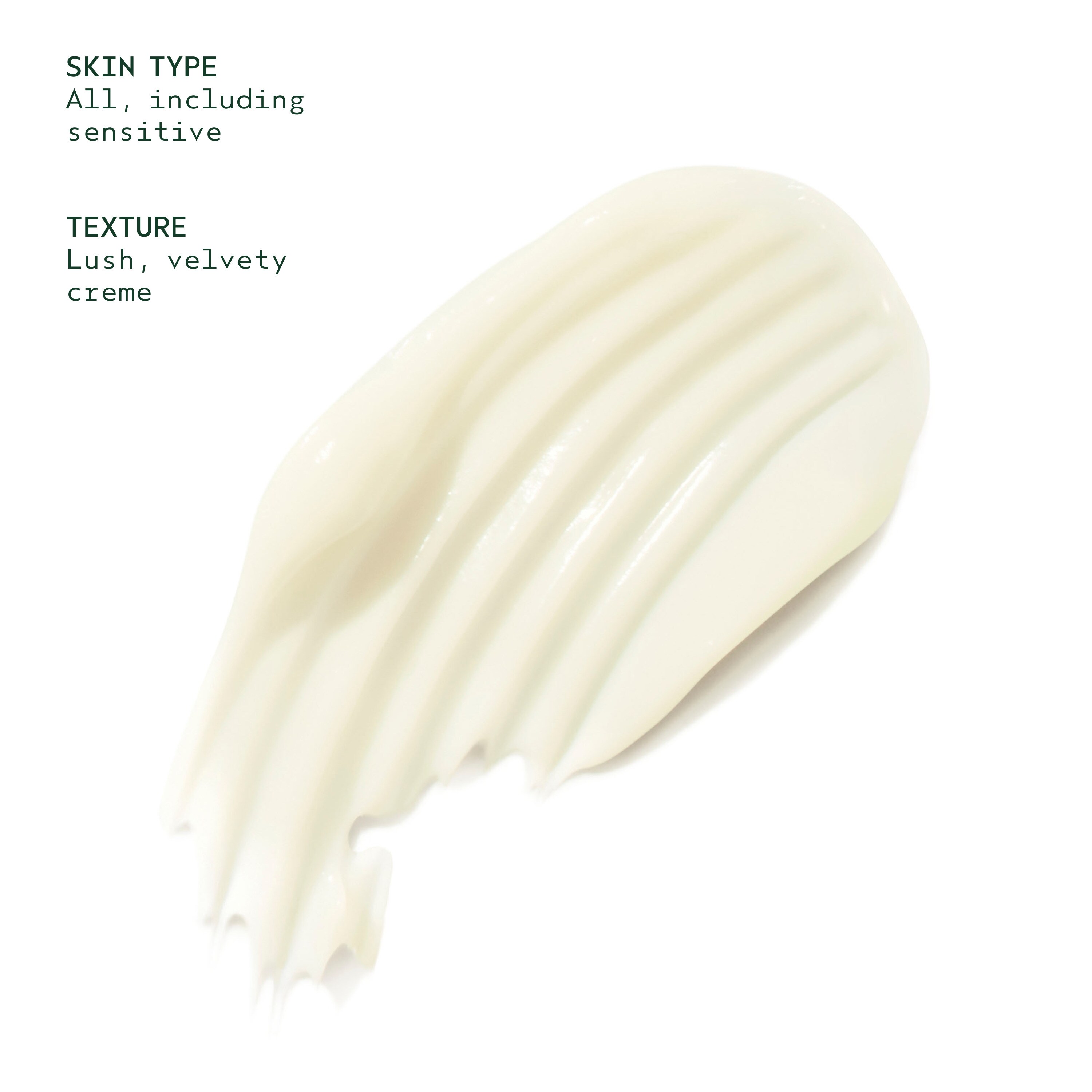 Advanced Botanical Kinetics™ Plumping Creme | Aveda