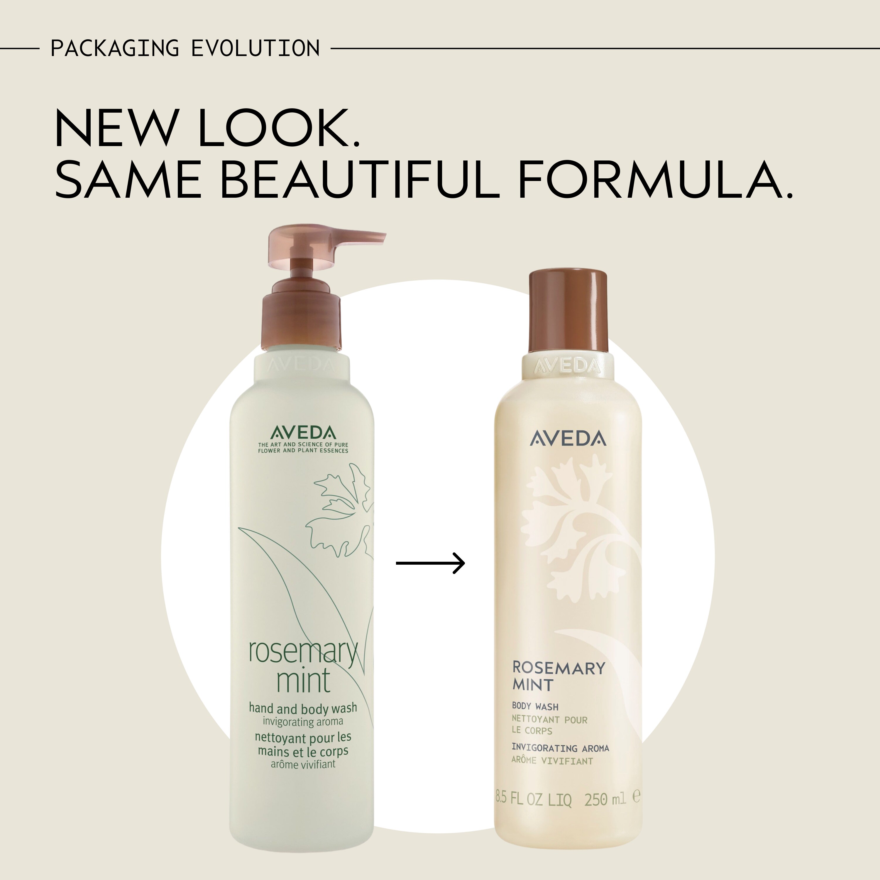 rosemary mint body wash | Aveda