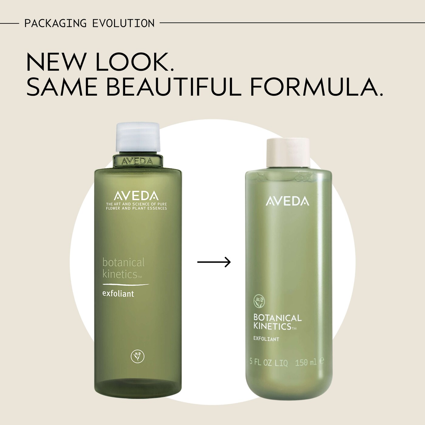 Botanical Kinetics™ Exfoliant