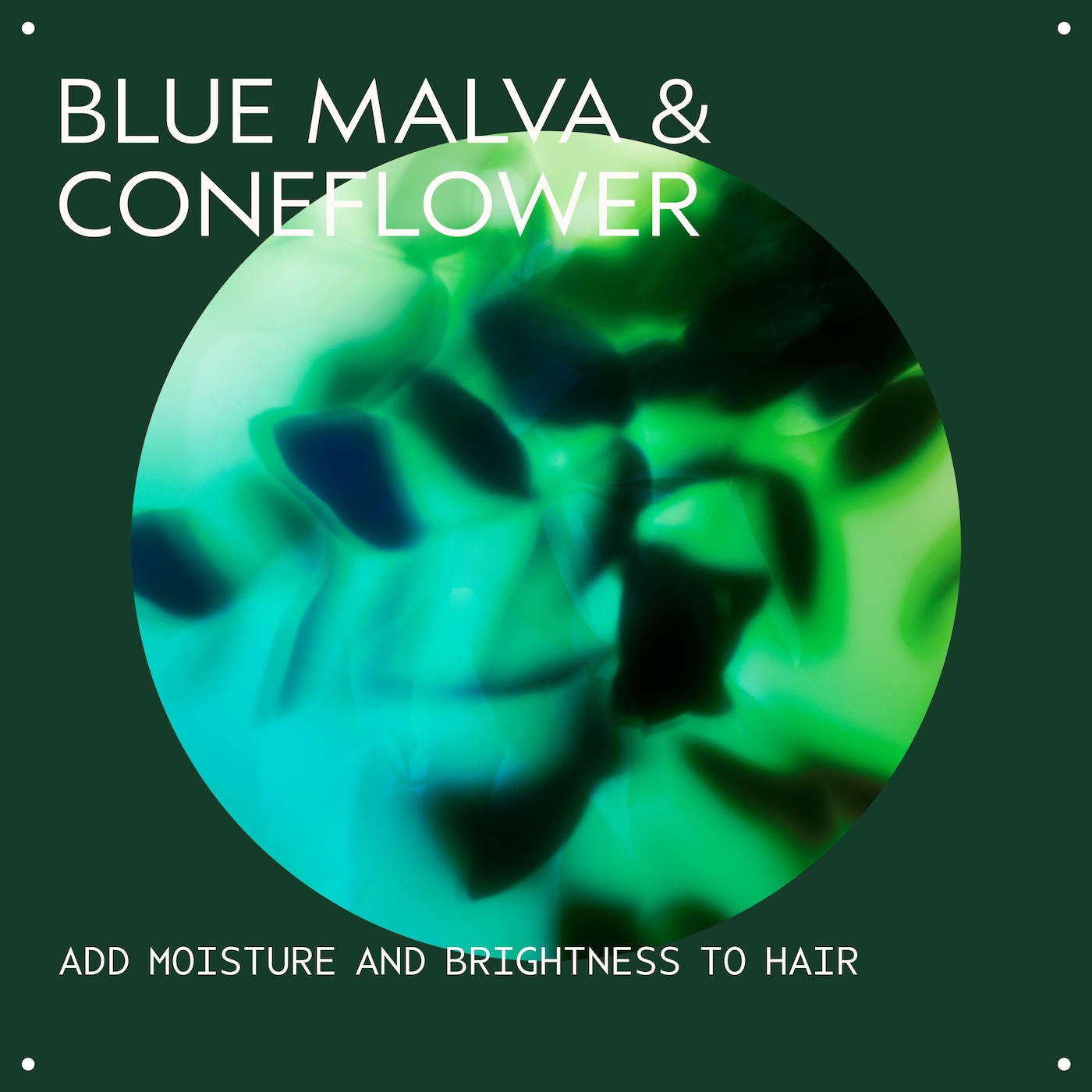 blue malva color shampoo for silver and blonde tones