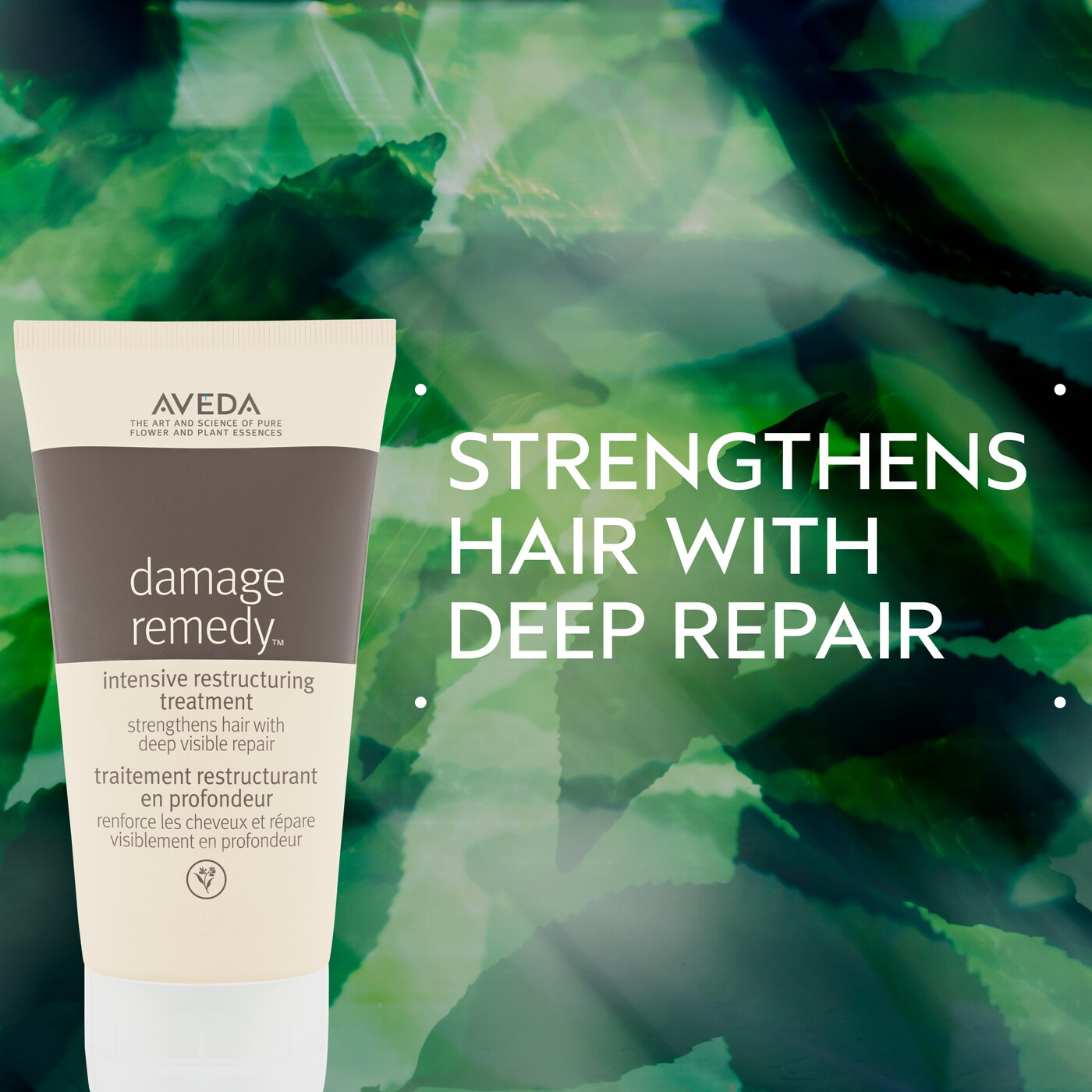 damage remedy<span class="trade">&trade;</span> intensive restructuring treatment