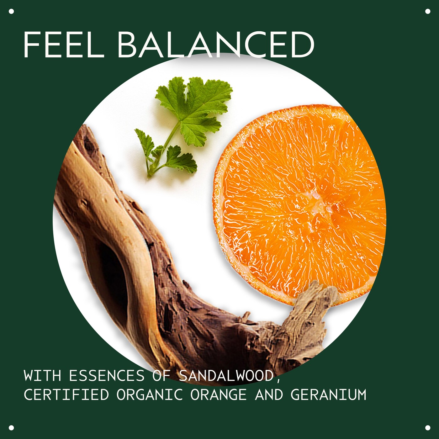 chakra<span class="trade">&trade;</span> 2 balancing pure-fume<span class="trade">&trade;</span> mist nourished