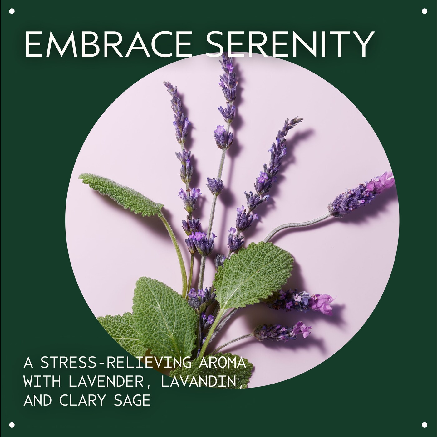stress-fix<span class="trade">&trade;</span> body creme