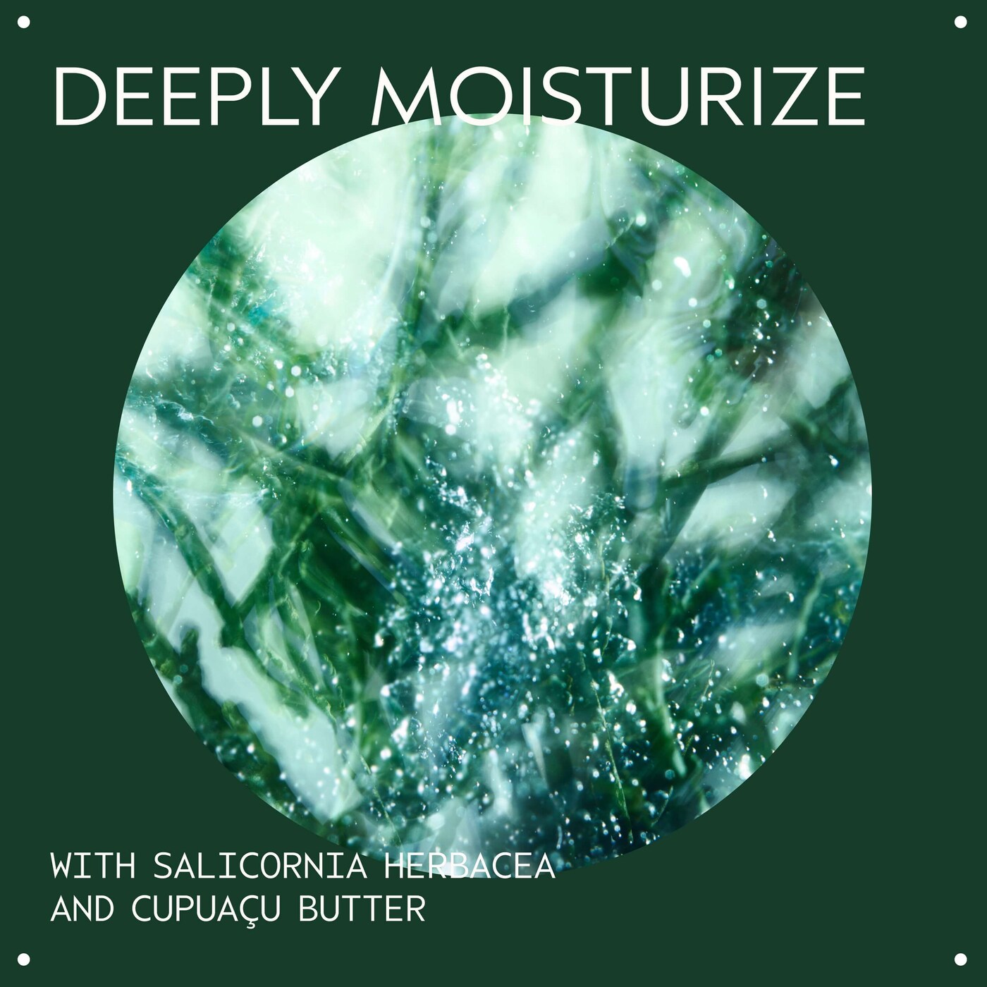 Botanical Kinetics™ Intense Hydrating Rich Creme