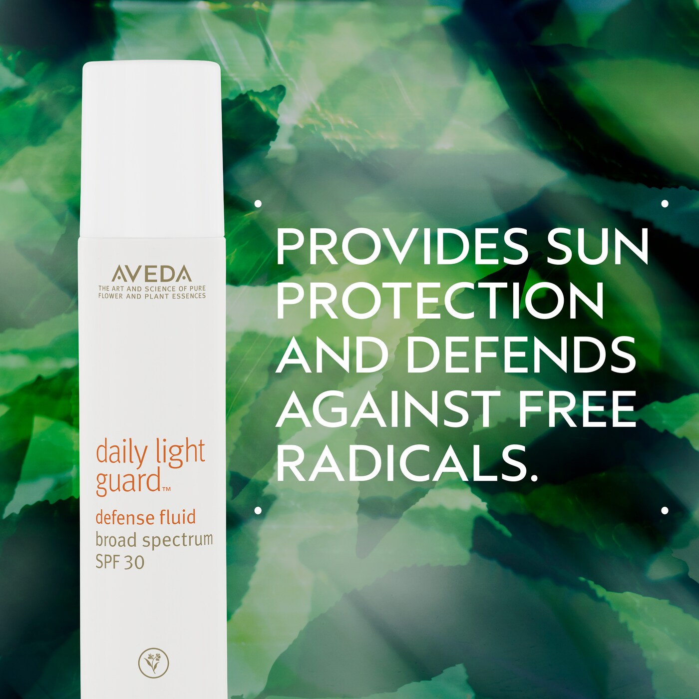 daily light guard<span class="trade">&trade;</span> defense fluid broad spectrum spf 30