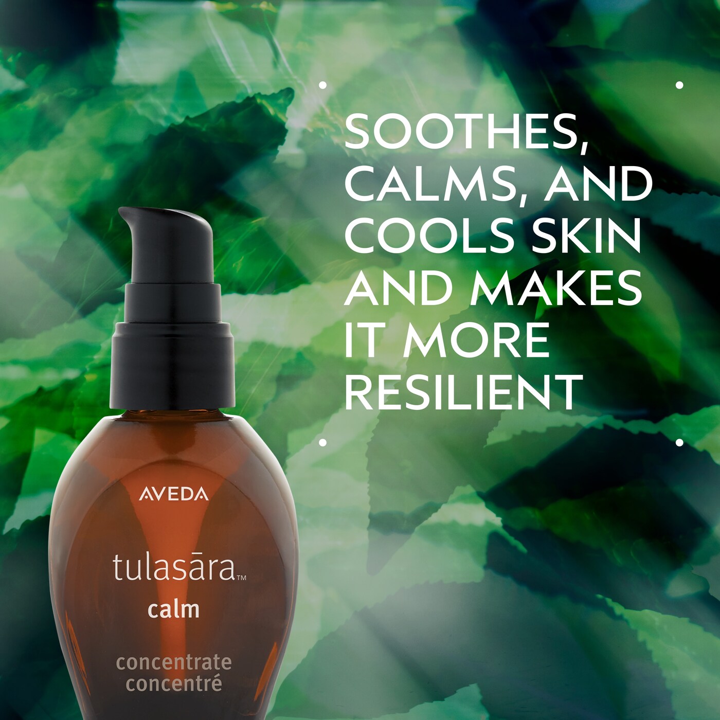 tulasara™ calm concentrate treatment serum, 1 fl oz/30 ml