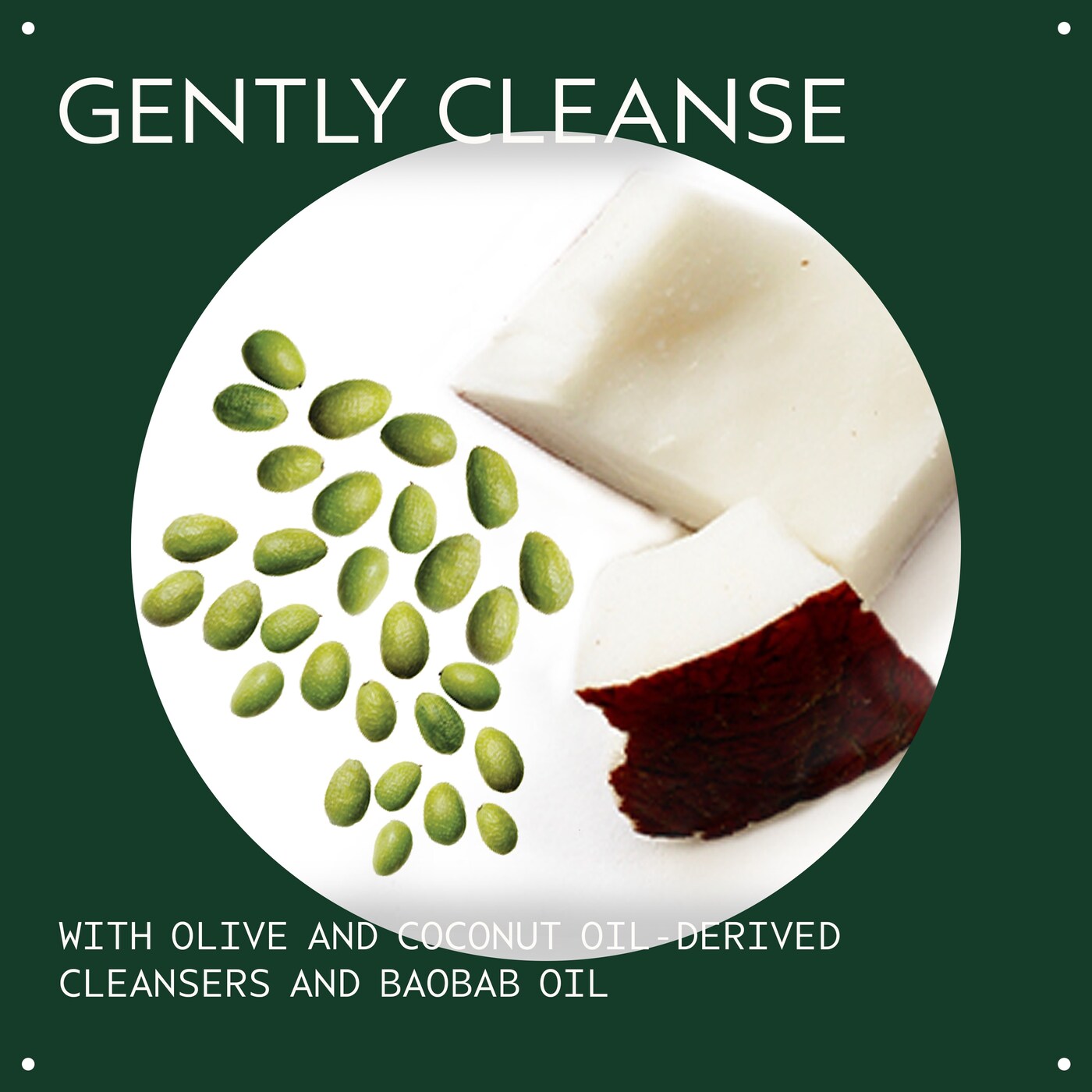 Botanical Kinetics™ All-Sensitive Cleanser