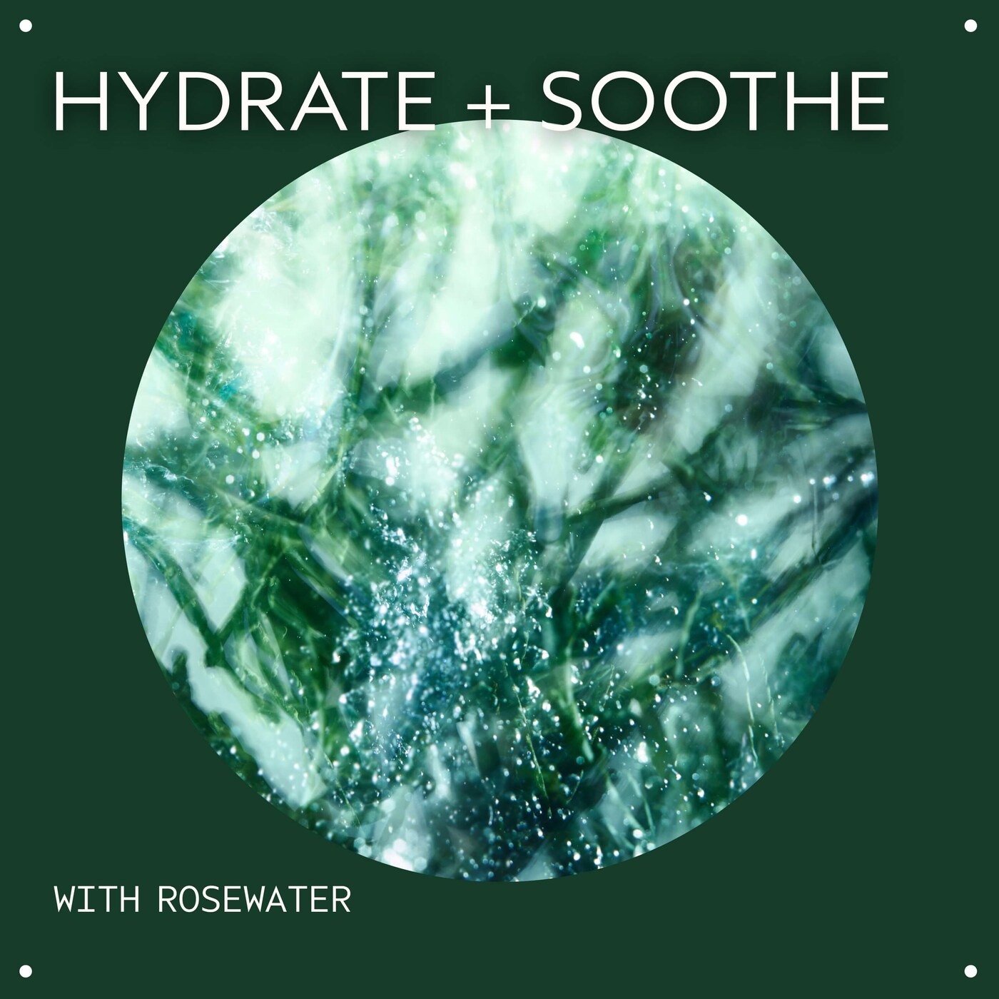 Botanical Kinetics™ Intense Hydrating Masque 