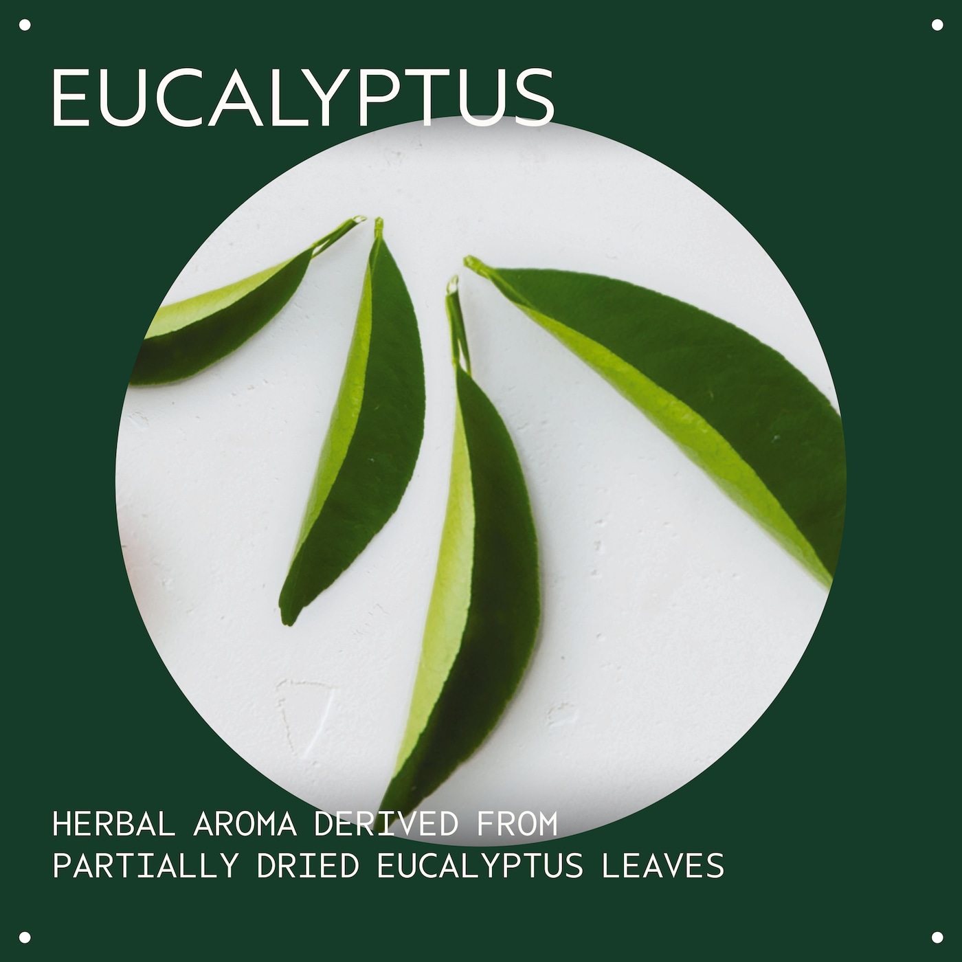 eucalyptus essential oil + base for body and bath