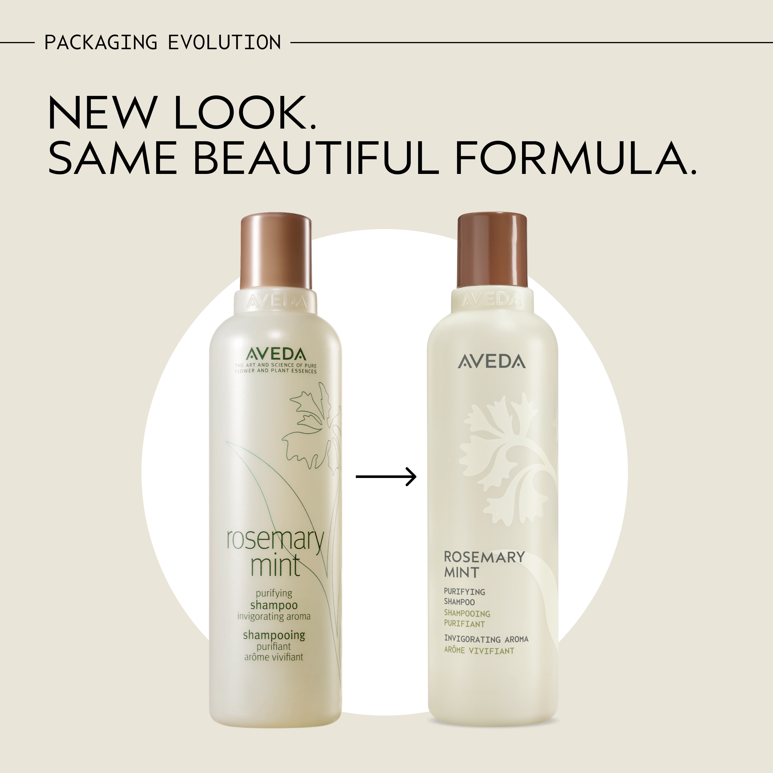 Rosemary mint purifying shampoo | Aveda