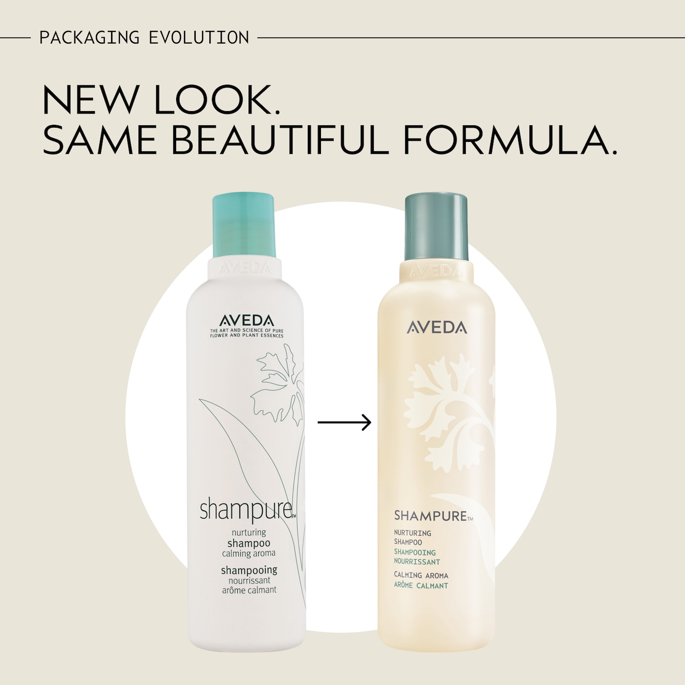 shampure<span class="trade">&trade;</span> nurturing shampoo