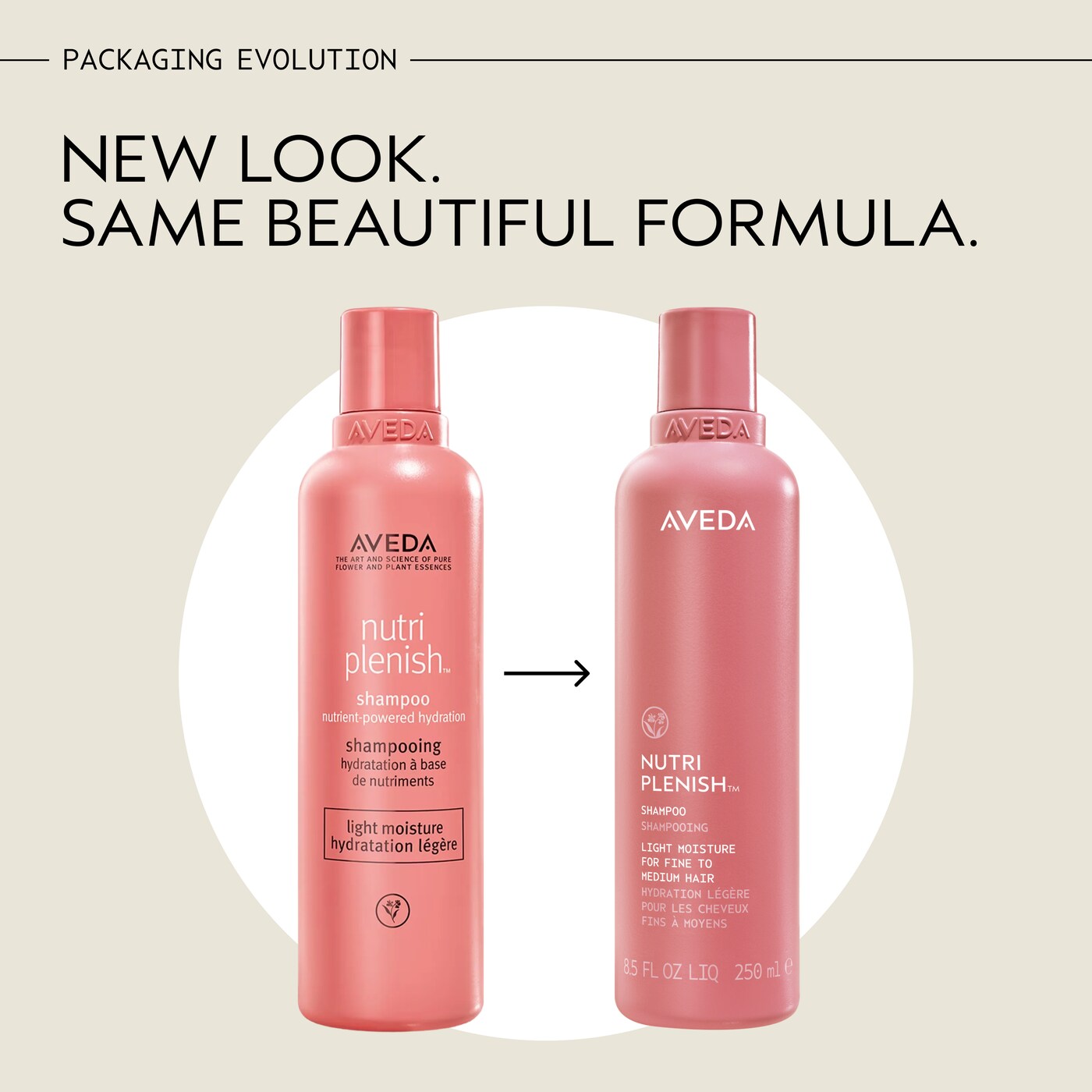 Nutriplenish™ Shampoo Light Moisture