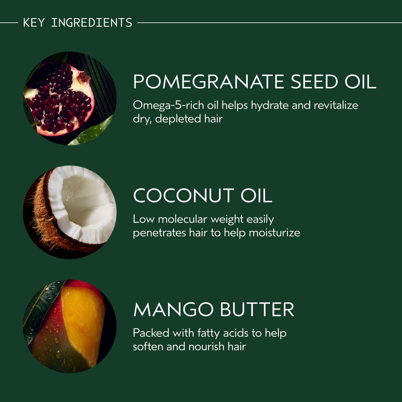 Nutriplenish™ Shampoo Deep Moisture