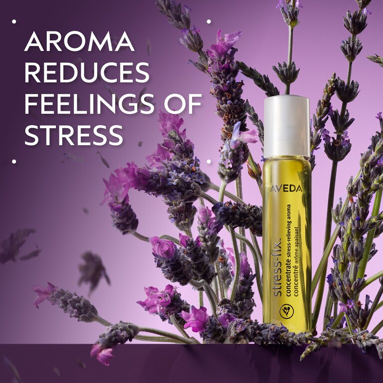 stress-fix™ concentrate rollerball essential oil, .24 fl oz/7 ml