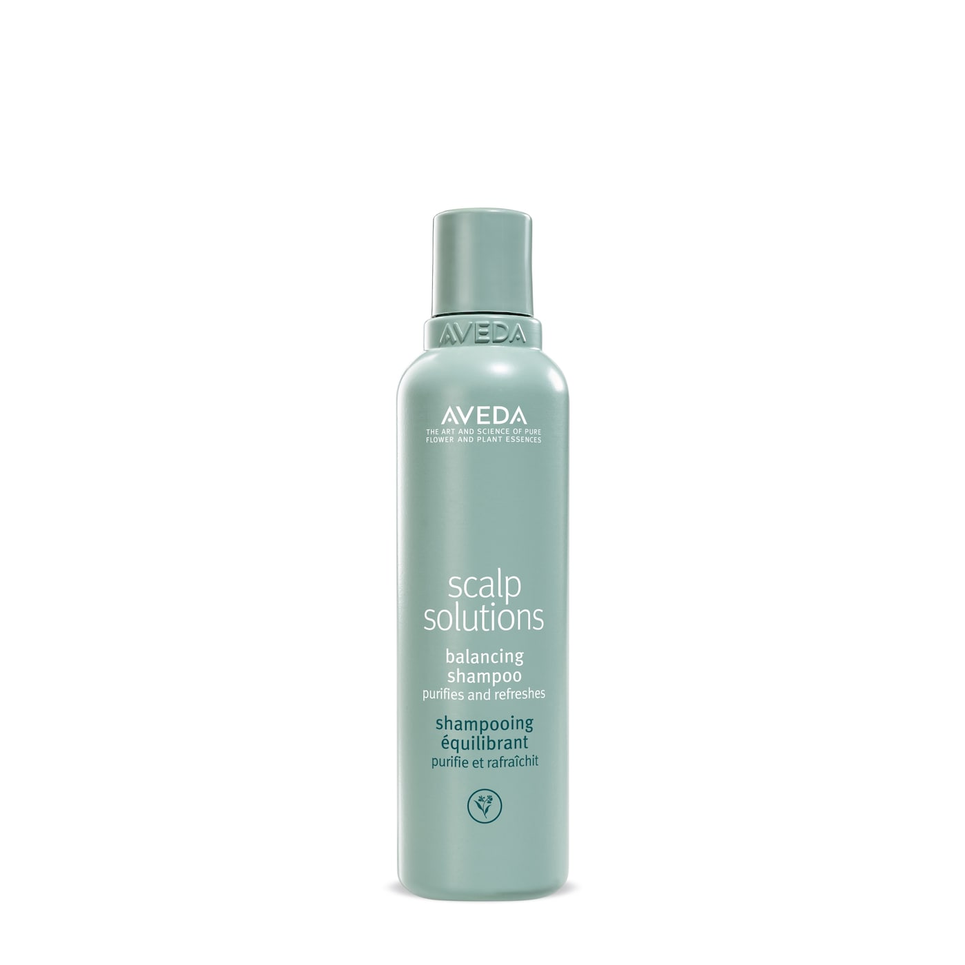 scalp solutions balancing shampoo