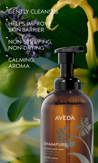Shampure™ Foaming Hand Wash, 8.1 fl oz/240 ml