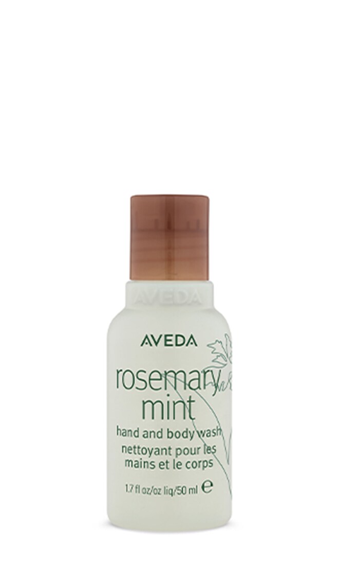 aveda travel size skin care