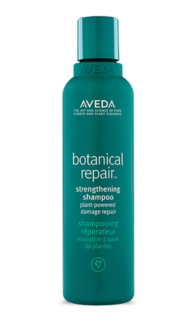 Shampoo & Professional Hair Care Sets | Aveda