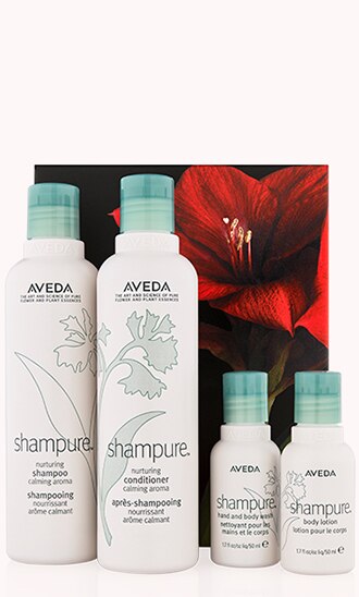 Natural Hair Products Shampoos Conditioners Salons Aveda