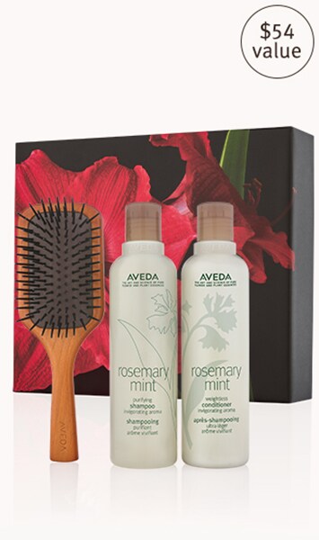 Rosemary Mint Invigorating Hair Care And Brush Gift Set Aveda