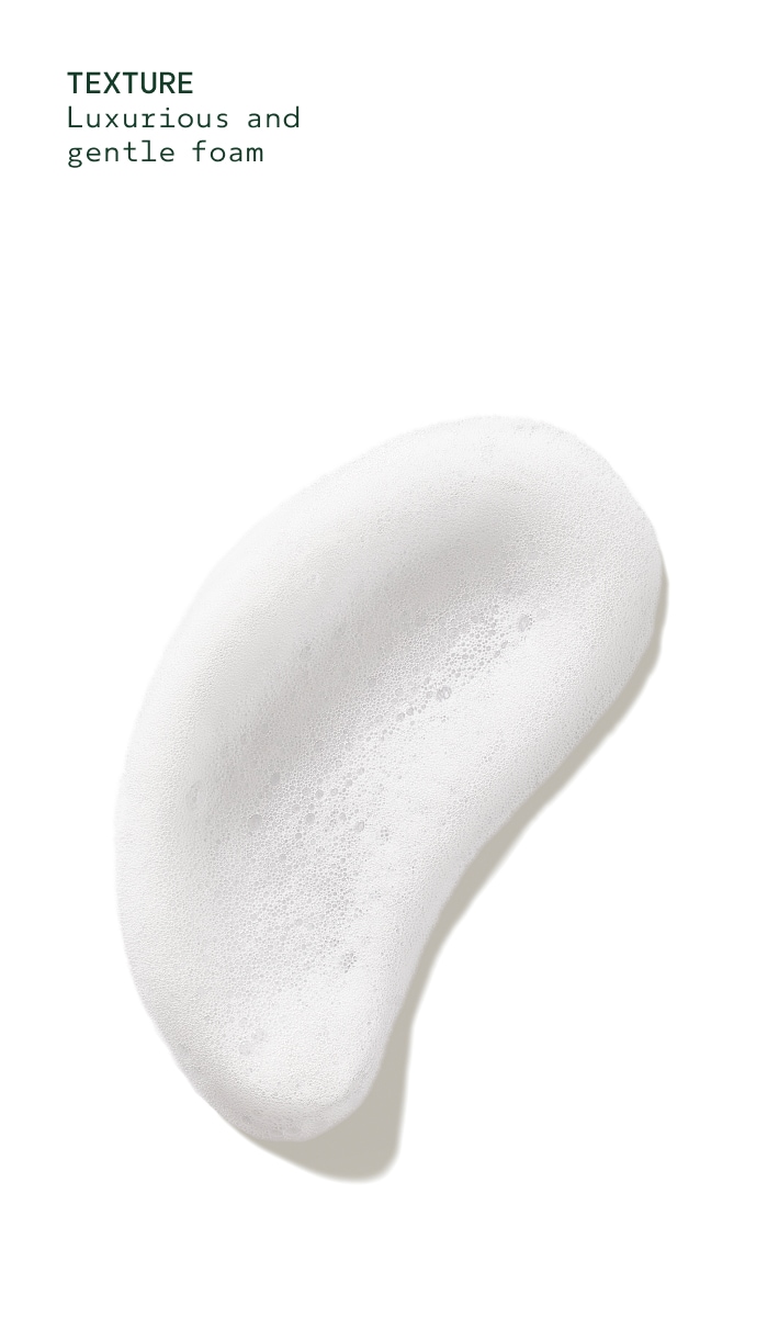 Rosemary Mint Foaming Hand Wash