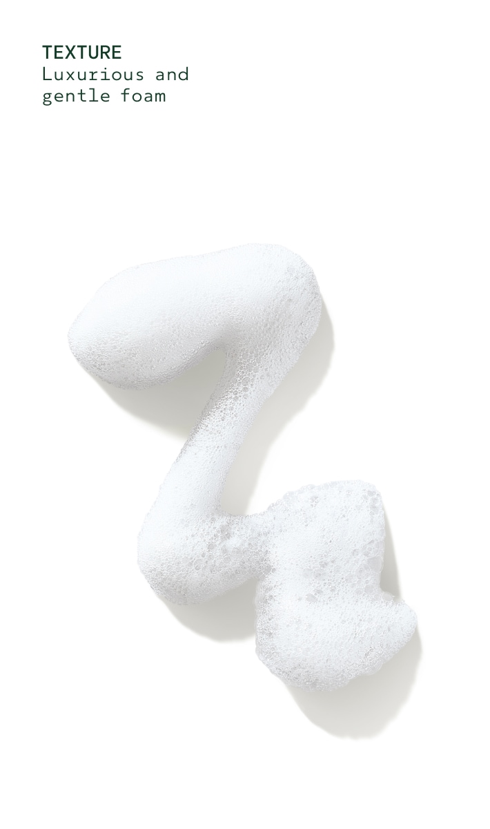 Beautifying Foaming Hand Wash