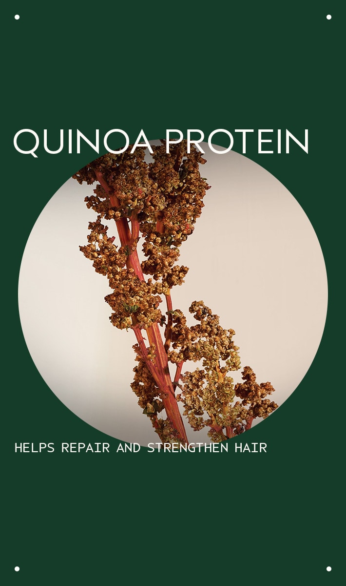 damage remedy<span class="trade">™</span> restructuring conditioner