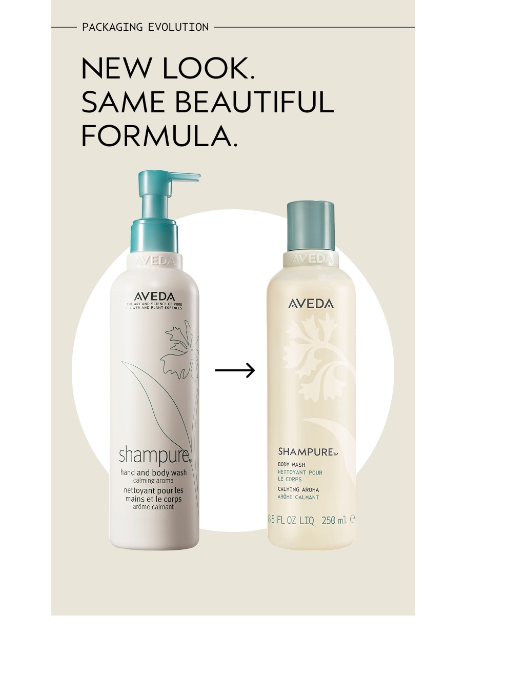 Shampure™ Body Wash
