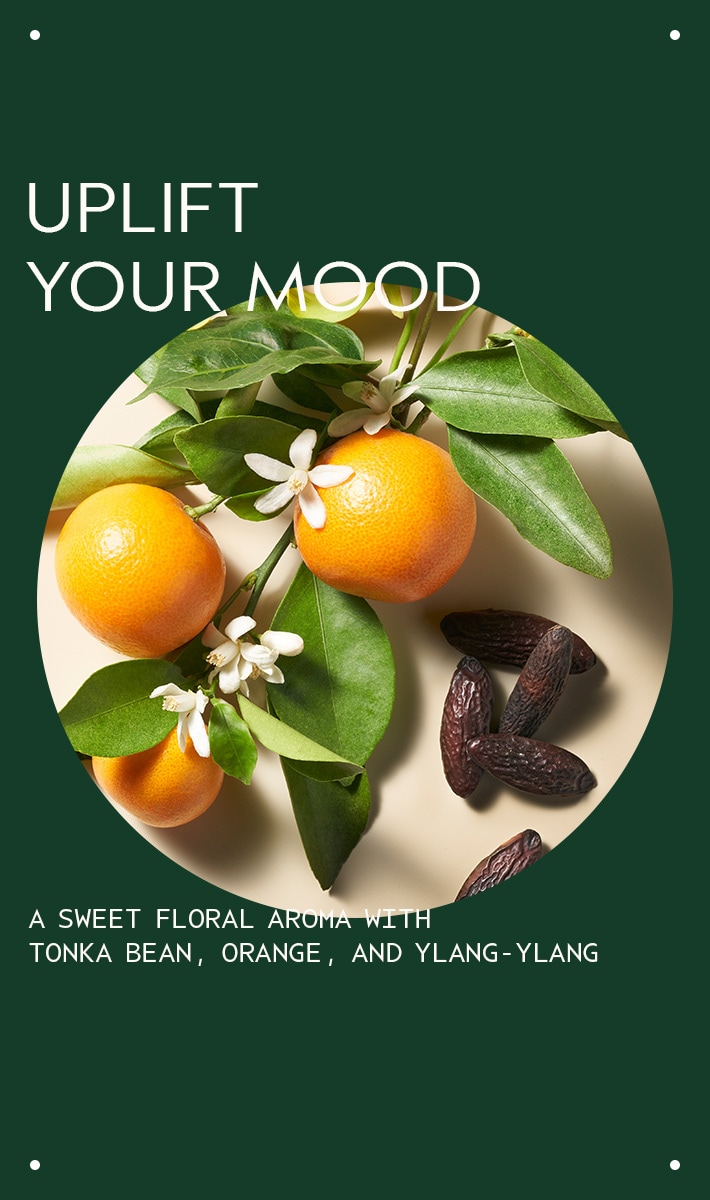 cherry almond softening conditioner
